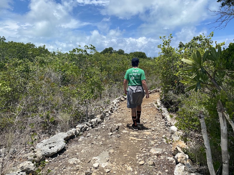 Photo 2 at Bird Rock Trail in Leeward Settlement