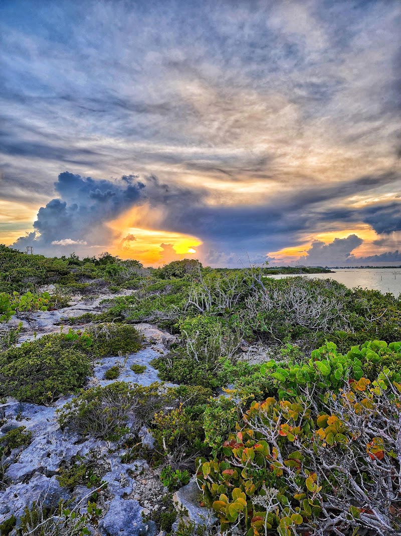 Photo 5 at Bird Rock Trail in Leeward Settlement