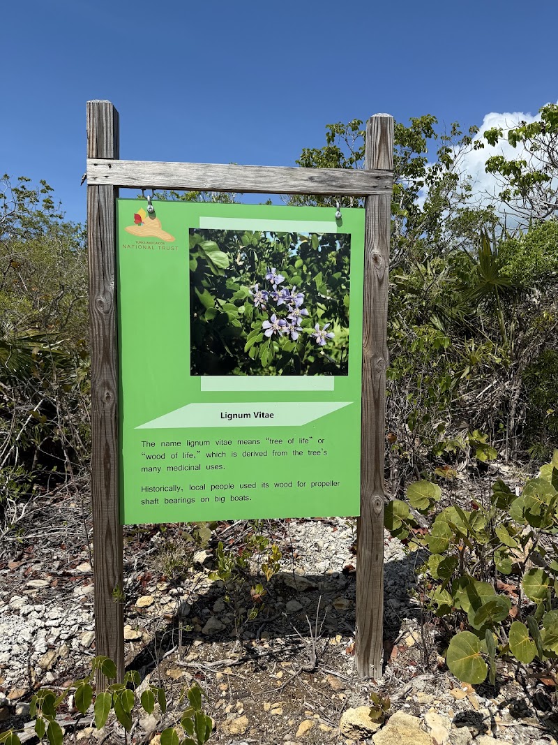 Photo 6 at Bird Rock Trail in Leeward Settlement