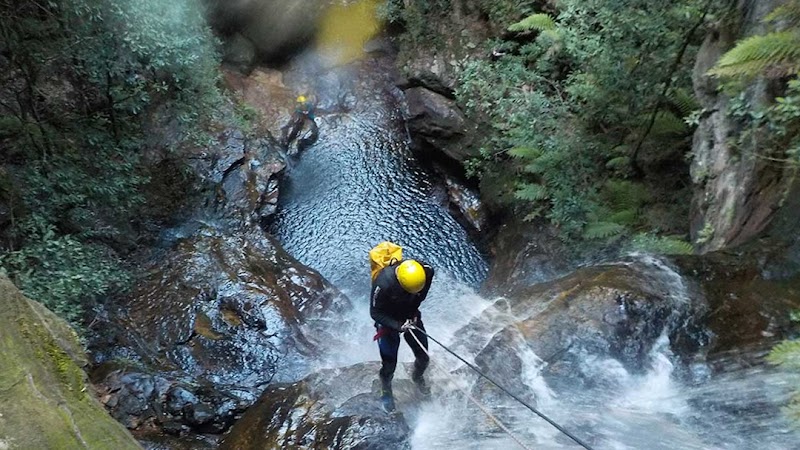 High and Wild in Katoomba