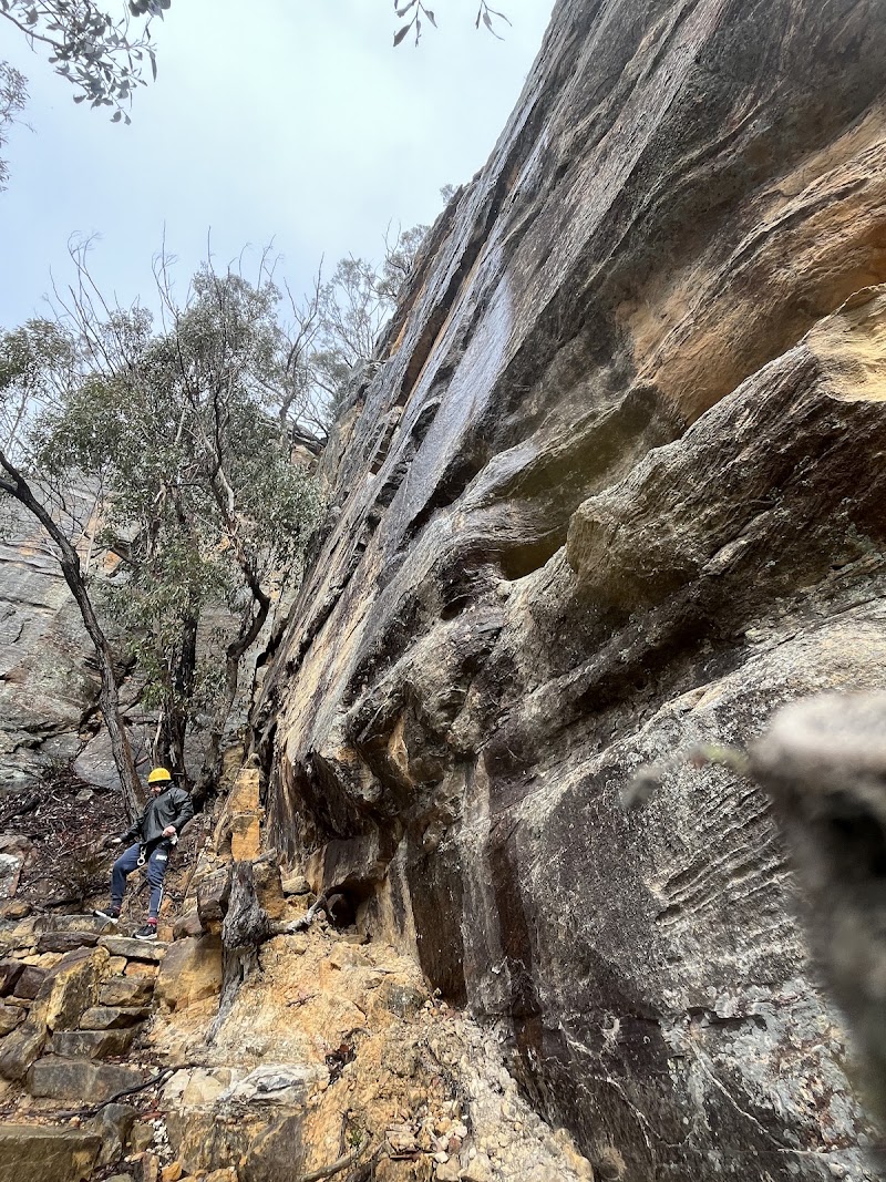 Photo 6 at High and Wild in Katoomba