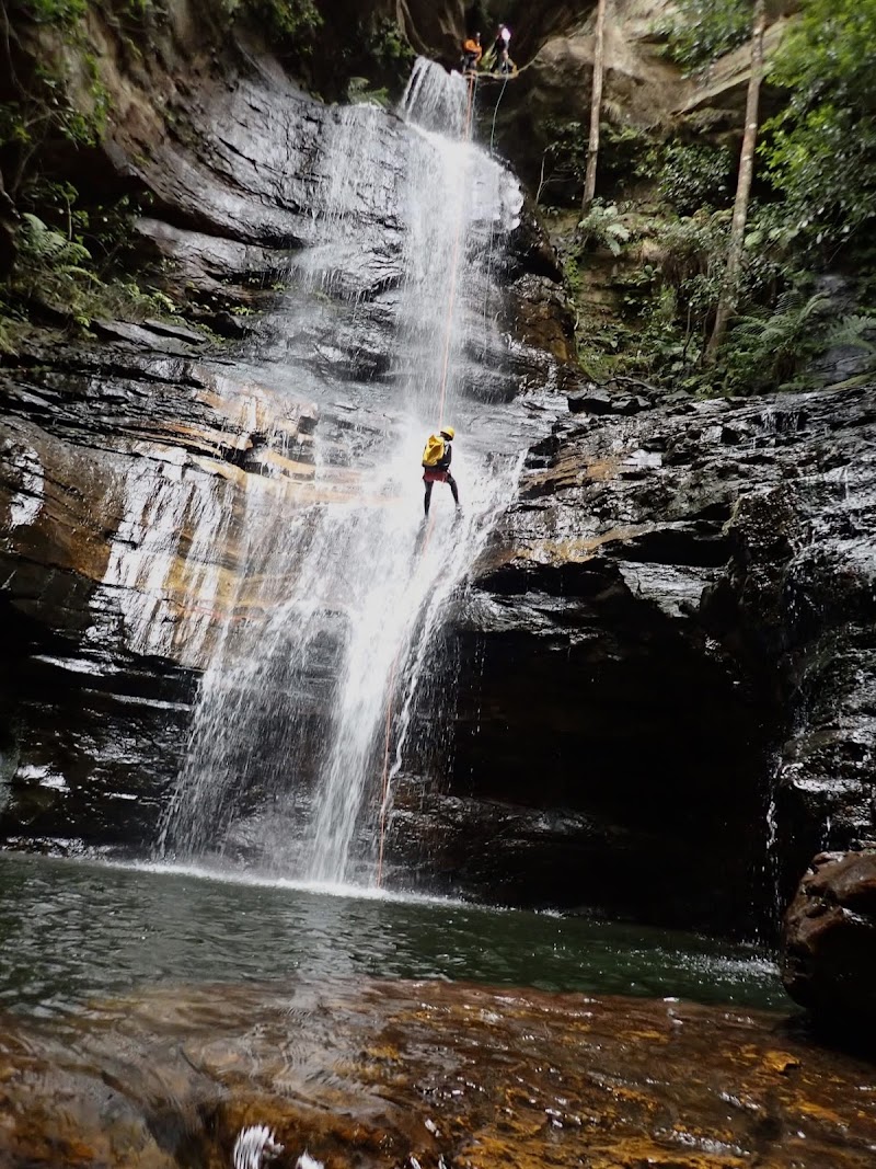 Photo 4 at High and Wild in Katoomba