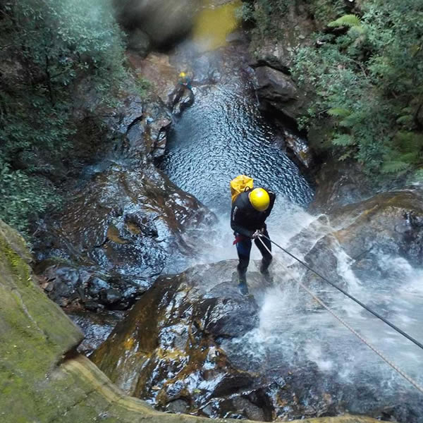 Photo 2 at High and Wild in Katoomba