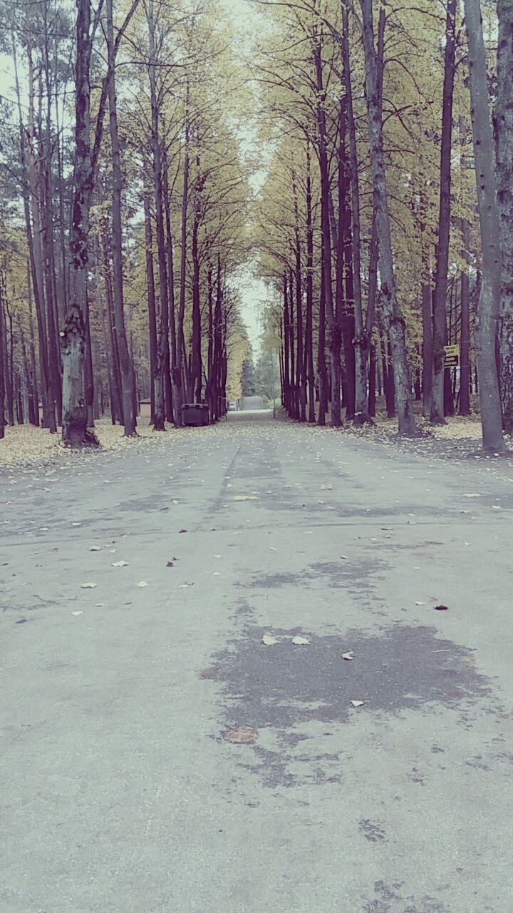 Photo 4 at Mežakaķis, piedzīvojumu parks in Riga