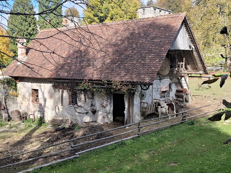 Photo 6 at Dvorec Hošperk (Haasberg) in Planina
