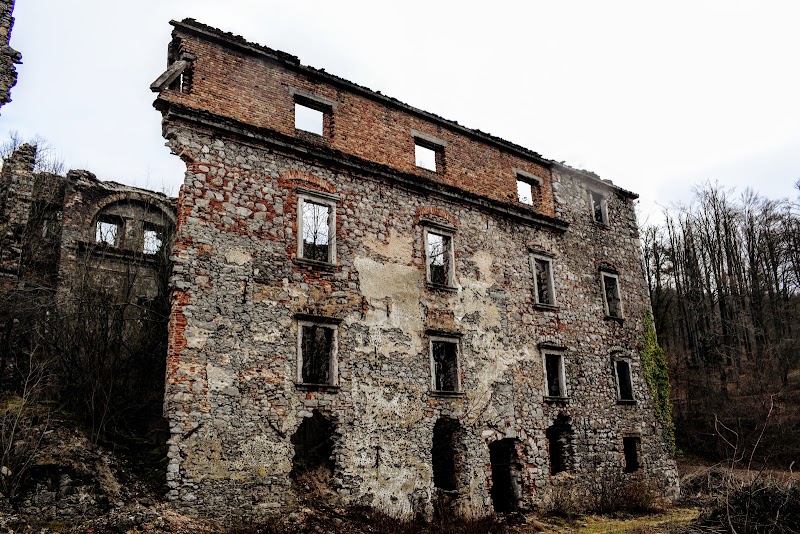 Photo 1 at Dvorec Hošperk (Haasberg) in Planina