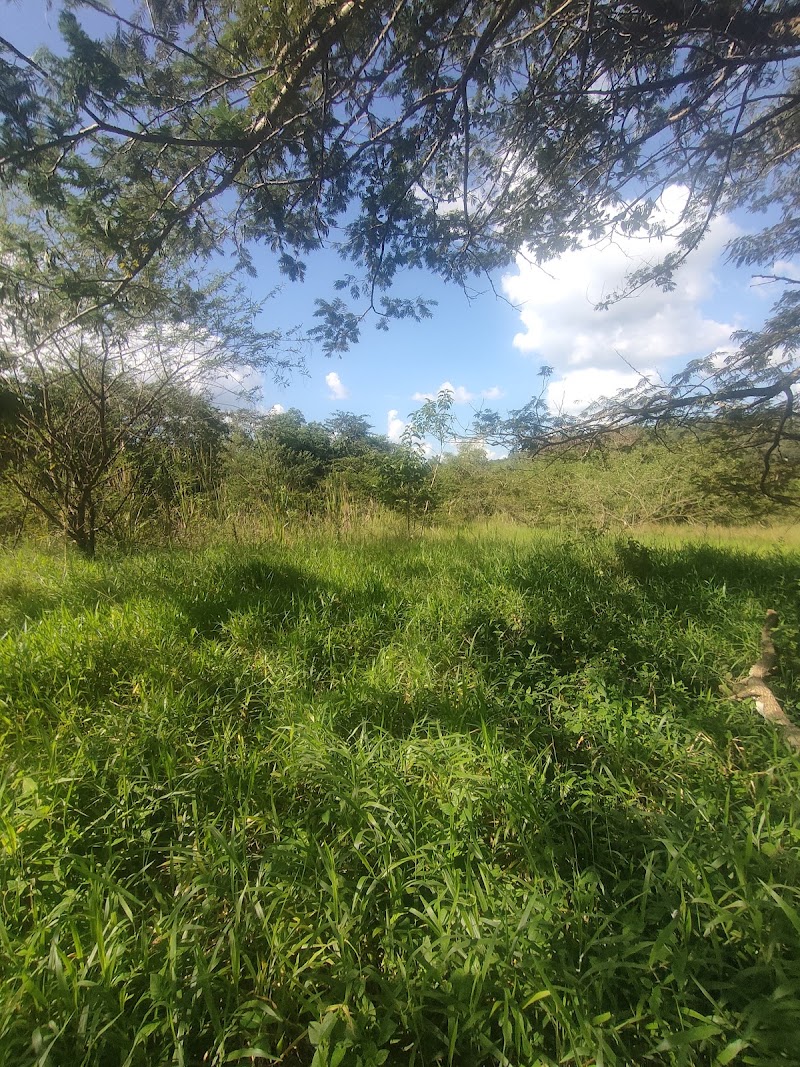 Photo 3 at Main entrance Nyandungu Urban Wetland Eco-tourism Park in Kigali