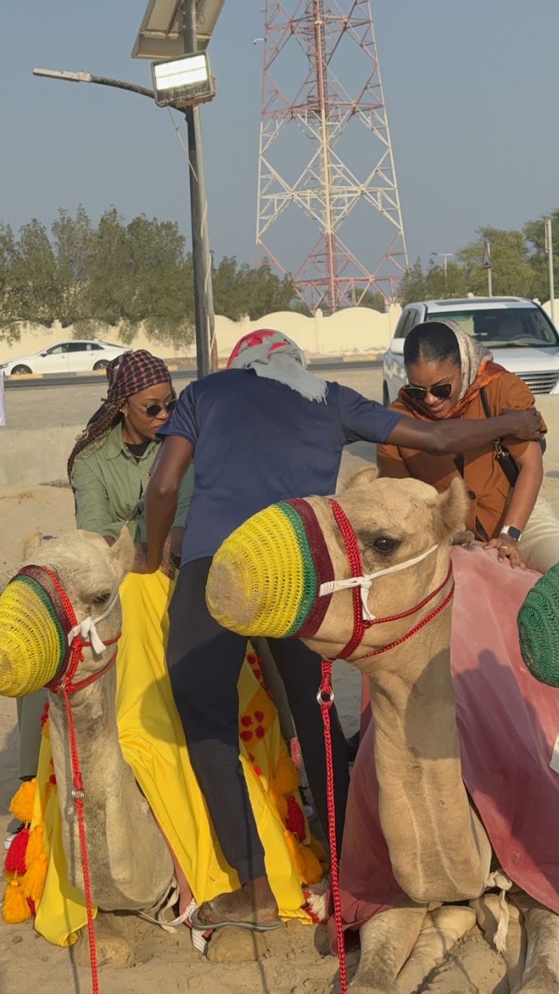 Photo 5 at 365 Adventures | Premium Desert Safari, Kayaking and City Tours | Doha in Doha