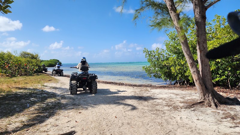 Photo 6 at ATV Cayman in West Bay