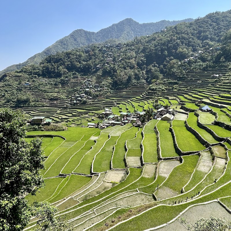 Batad Rice Terraces in Banaue