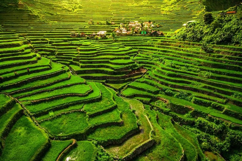 Photo 6 at Batad Rice Terraces in Banaue