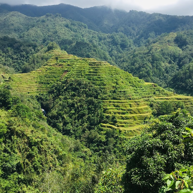 Photo 3 at Batad Rice Terraces in Banaue