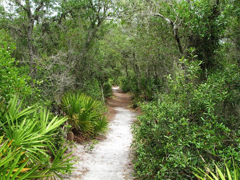 Photo 5 at Tibet-Butler Nature Preserve in Orlando