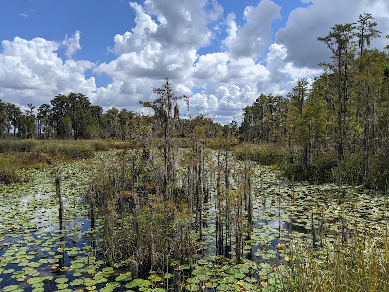 Photo 1 at Tibet-Butler Nature Preserve in Orlando