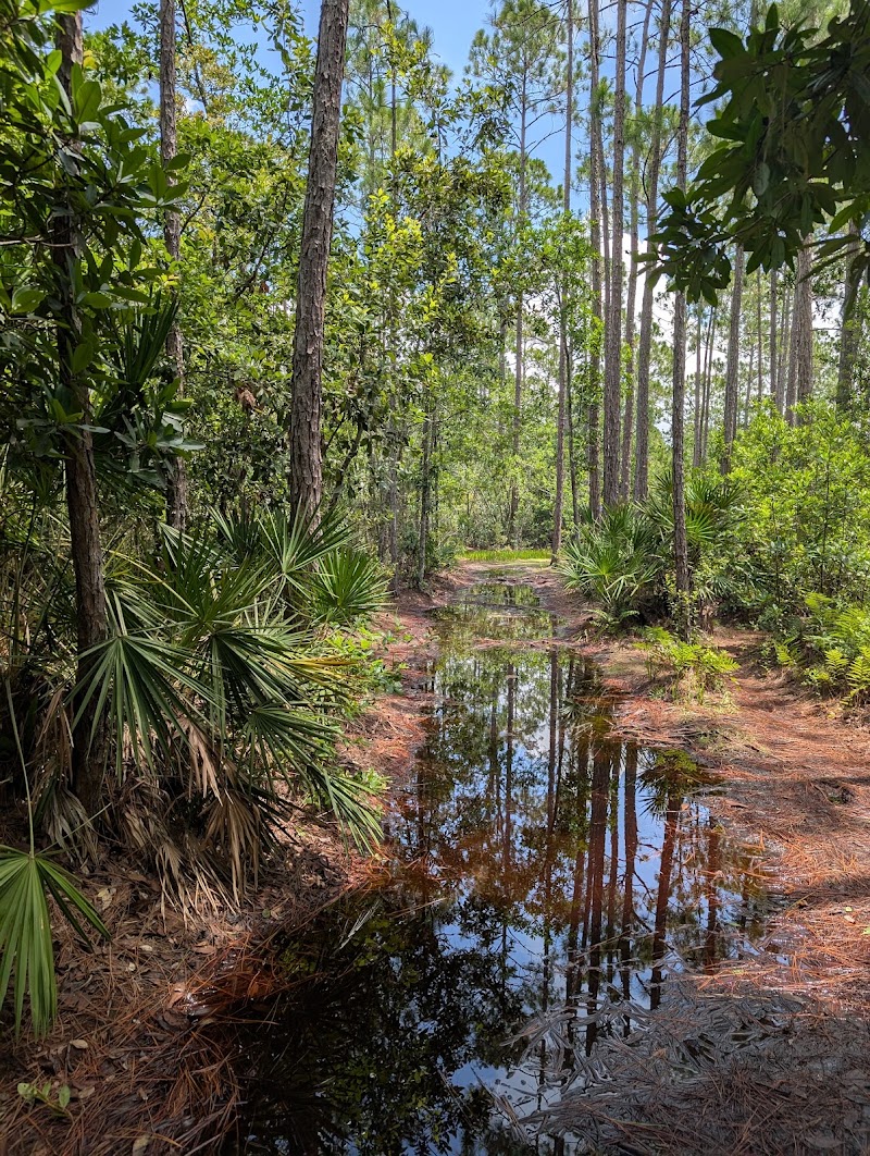 Photo 2 at Tibet-Butler Nature Preserve in Orlando