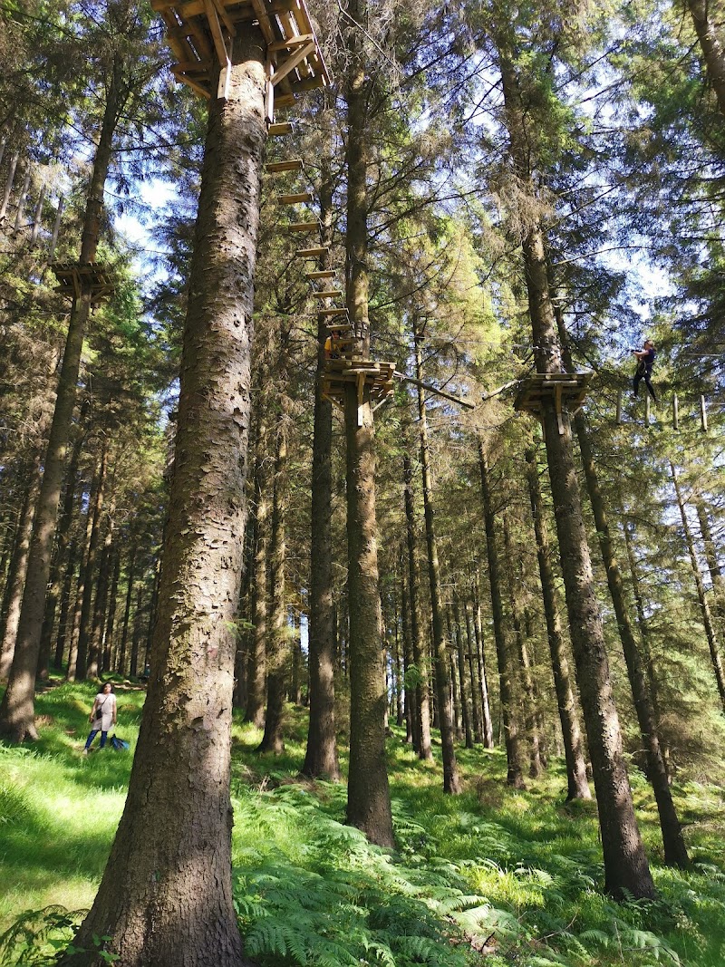 Photo 5 at Zipit Tibradden Woods in Dublin 16
