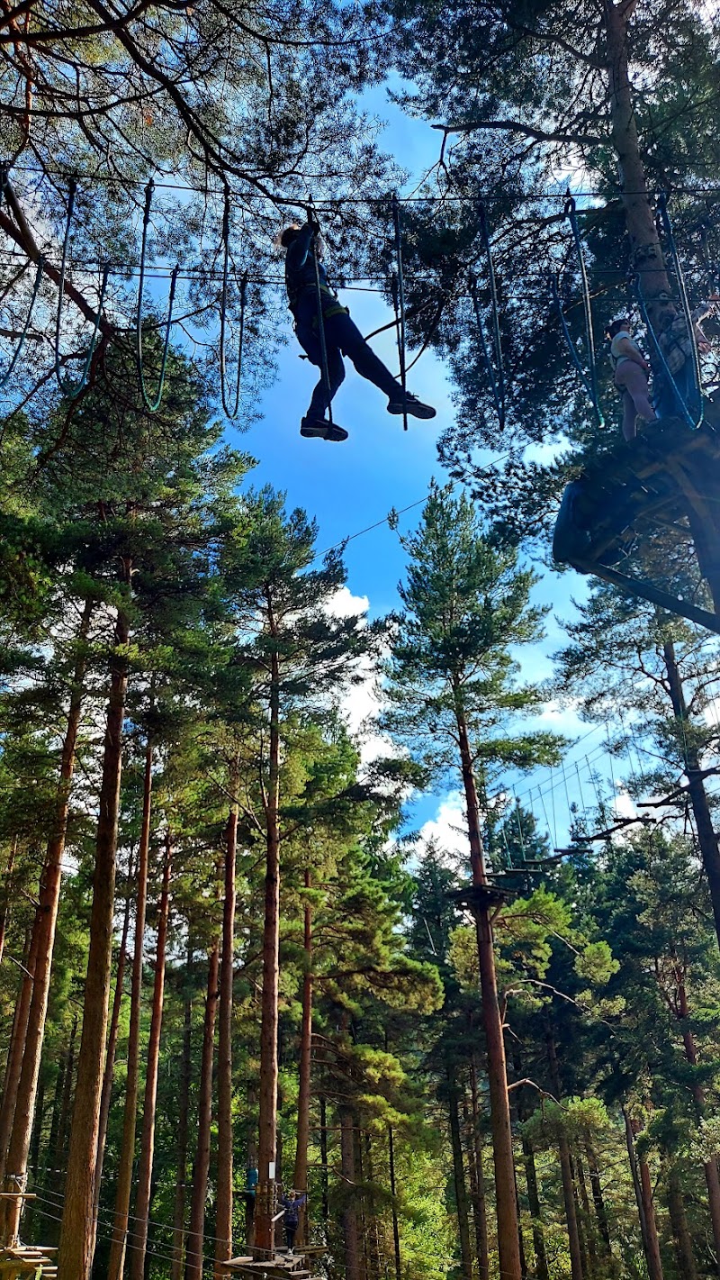 Photo 6 at Zipit Tibradden Woods in Dublin 16