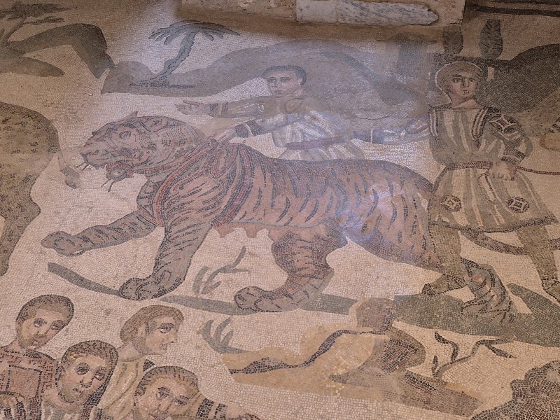 Photo 2 at Roman Villa of Casale in Piazza Armerina