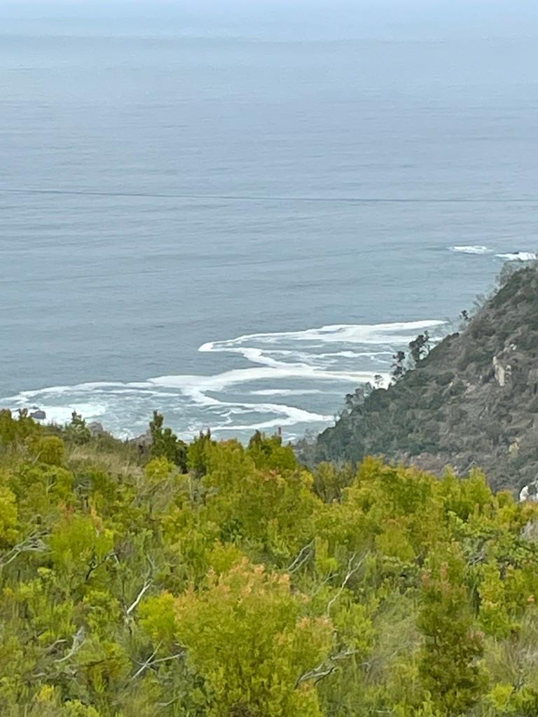 Photo 6 at Knysna Ziplines in Harkerville