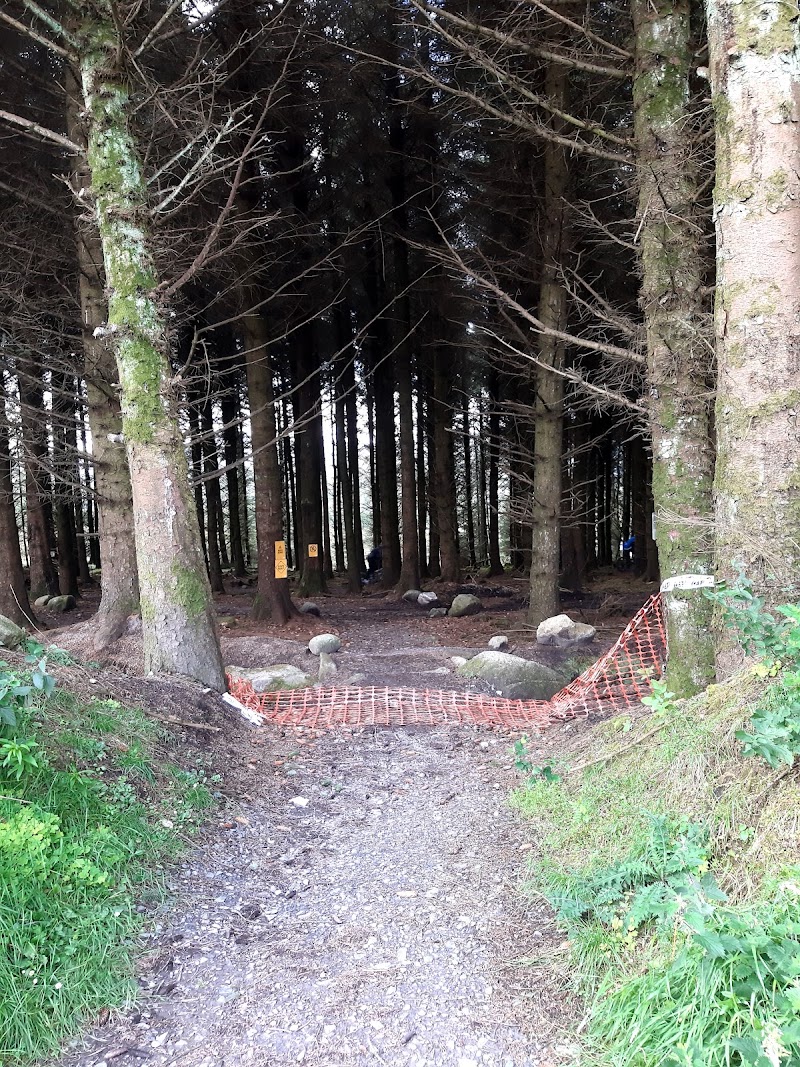 Photo 6 at Glencullen Adventure Park (The GAP) in Dublin