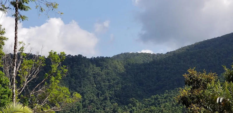 Angel Falls Belize - #1 Extreme Adventures in Belize in 