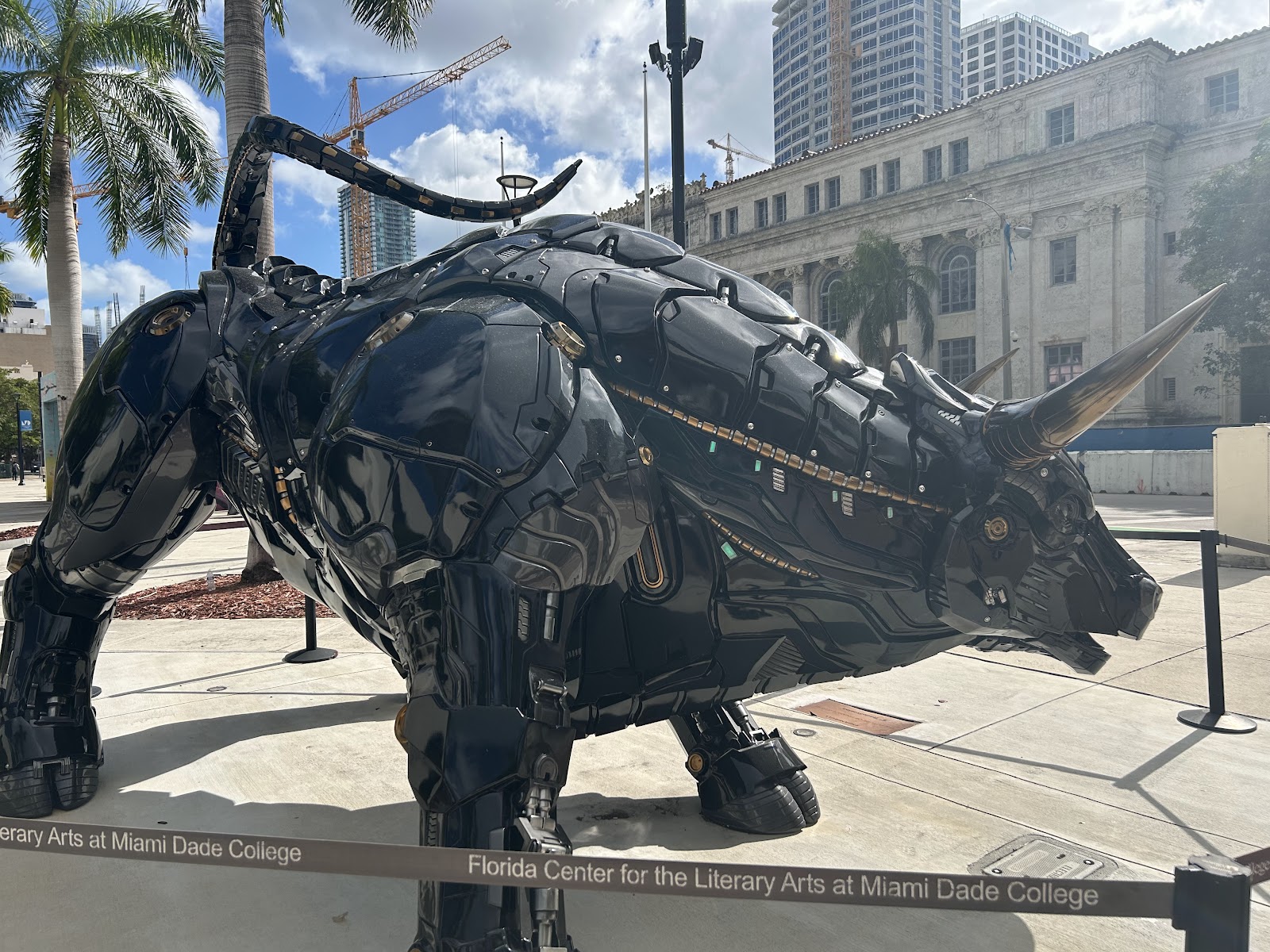 Miami Bull in Miami