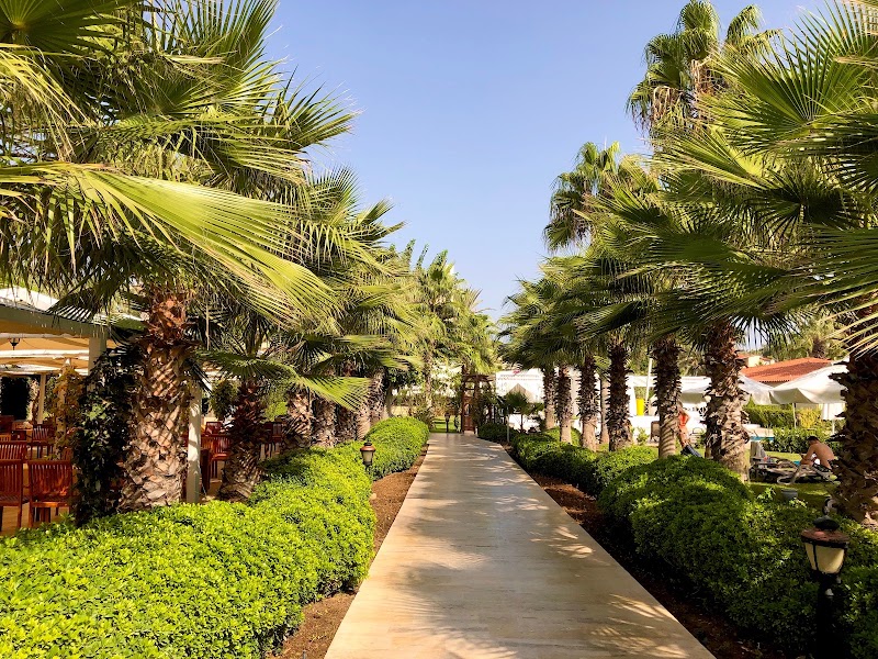 Photo 5 at Bellis Deluxe Hotel in 