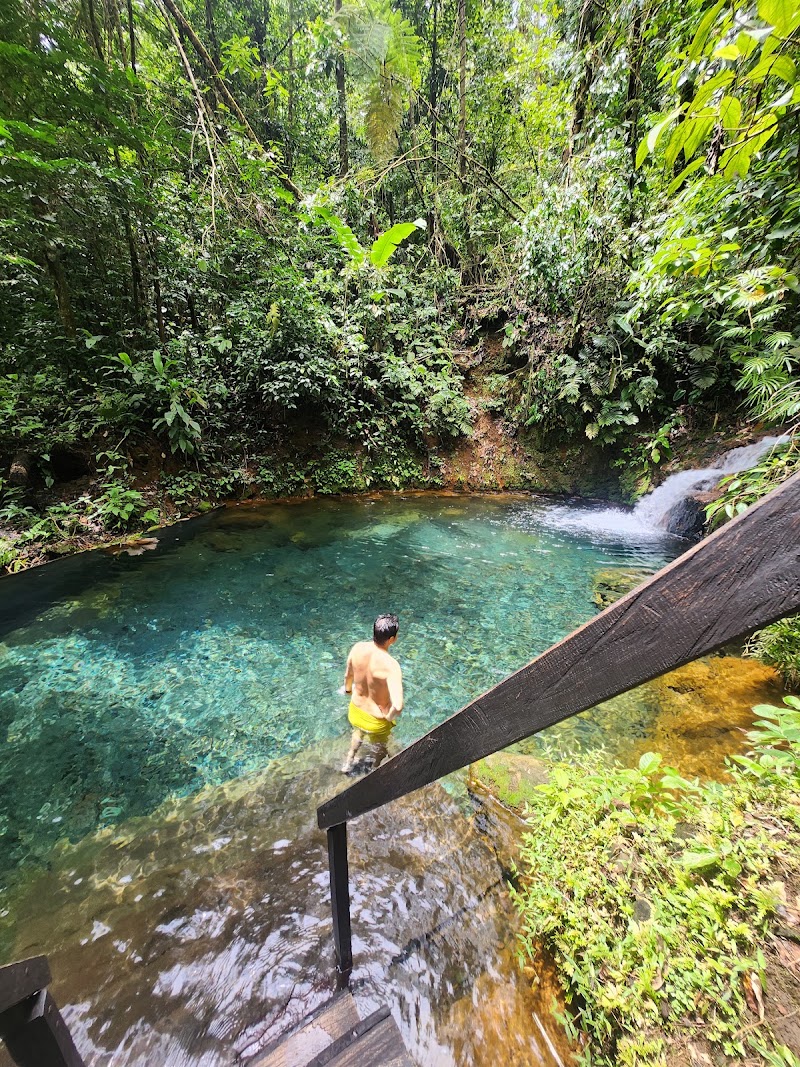 Photo 1 at Sensoria "Land of Senses and Magical rainforest" in Buenos Aires