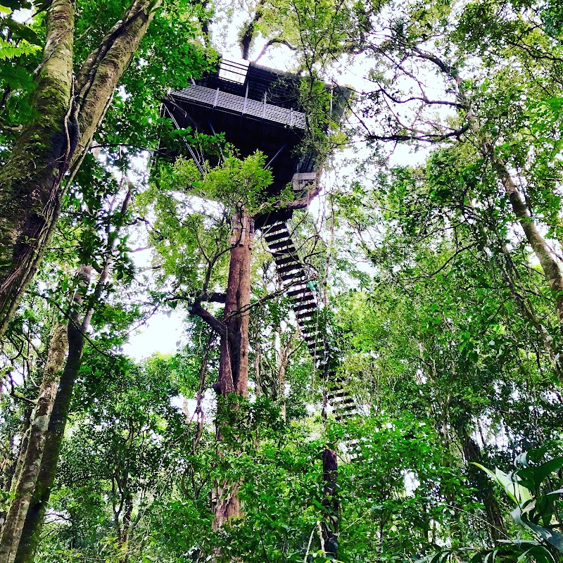 Photo 6 at Sensoria "Land of Senses and Magical rainforest" in Buenos Aires
