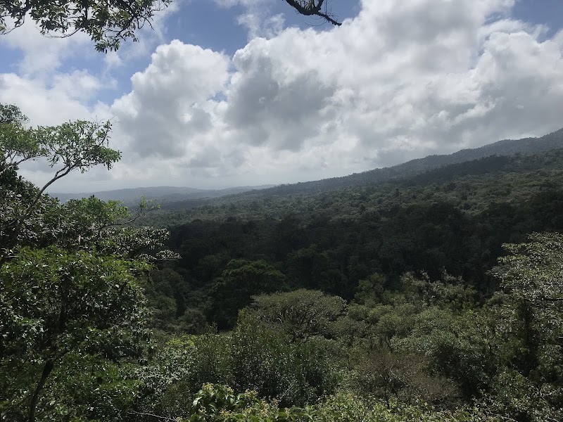 Photo 5 at Sensoria "Land of Senses and Magical rainforest" in Buenos Aires