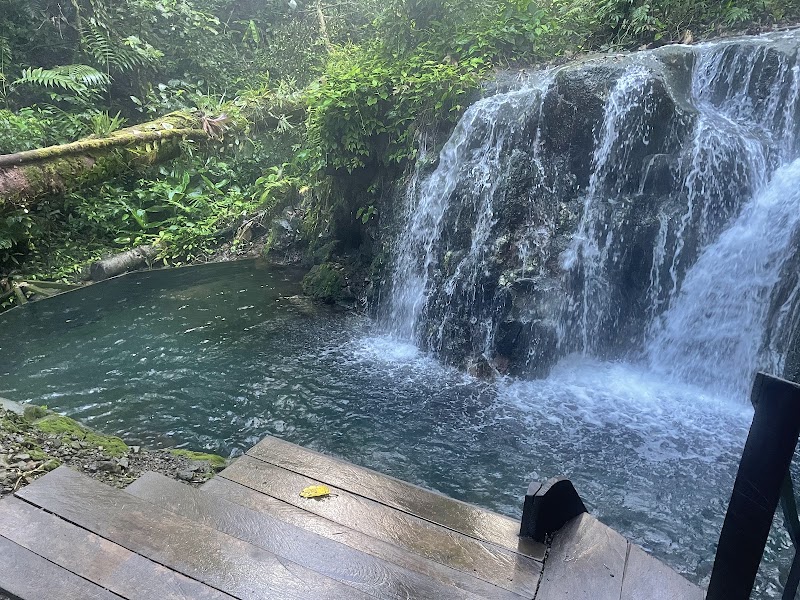 Photo 3 at Sensoria "Land of Senses and Magical rainforest" in Buenos Aires