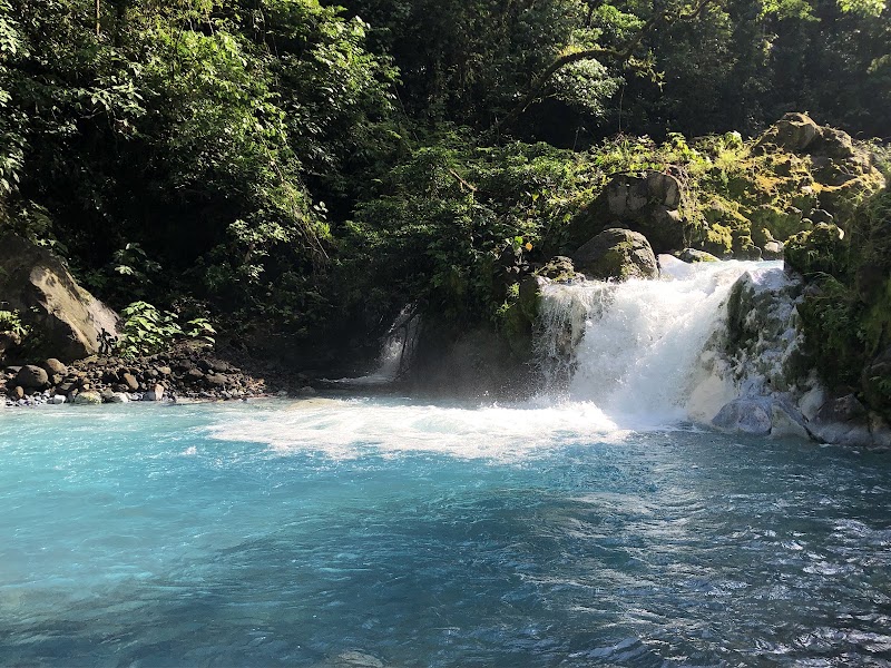 Sensoria "Land of Senses and Magical rainforest" in Buenos Aires