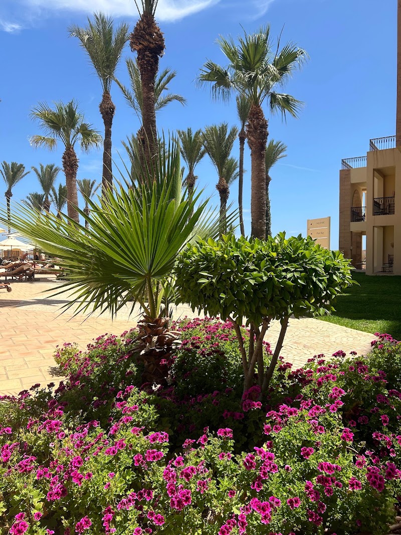 Photo 5 at Mövenpick Resort & Marine Spa in Sousse