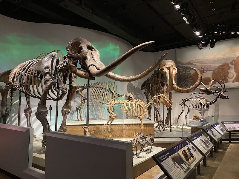 Photo 6 at Field Museum in Chicago