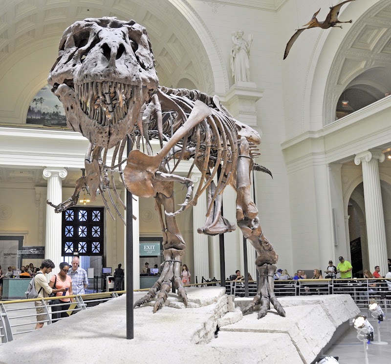 Field Museum in Chicago