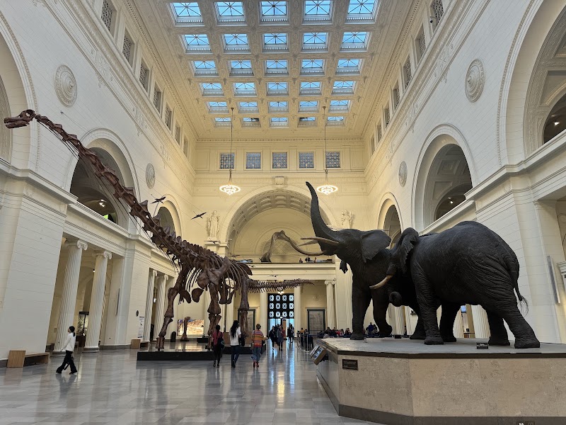 Photo 1 at Field Museum in Chicago