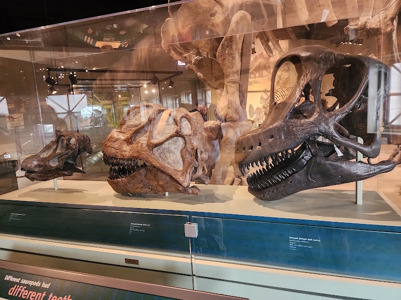 Photo 3 at Field Museum in Chicago