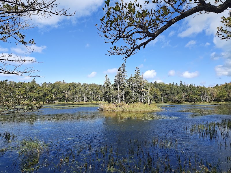 Photo 4 at Shiretoko National Park in Shari