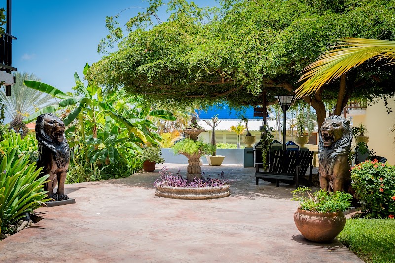 Photo 6 at LionsDive Beach Resort Curacao in Willemstad