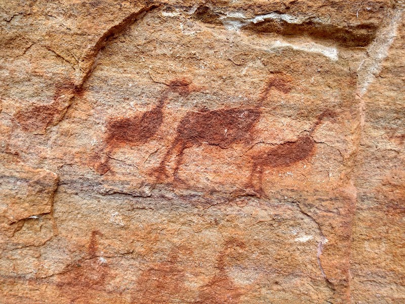 Photo 4 at Serra da Capivara National Park in Milonga