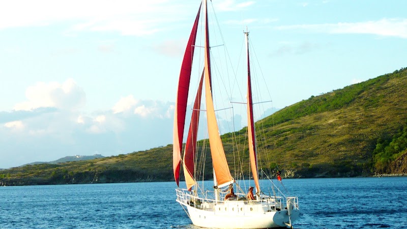 Captain Coconut Sailing Adventures in 