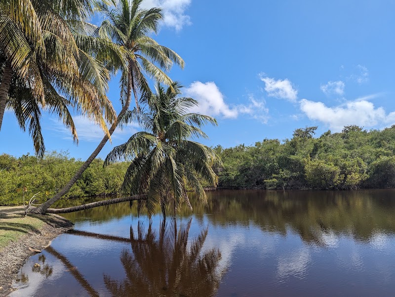 Photo 4 at Queen Elizabeth II Botanic Park in North Side