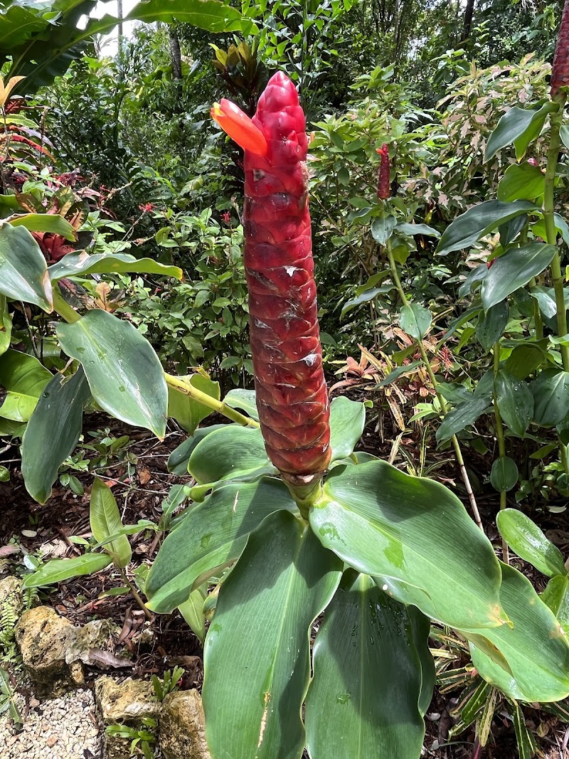Photo 3 at Queen Elizabeth II Botanic Park in North Side