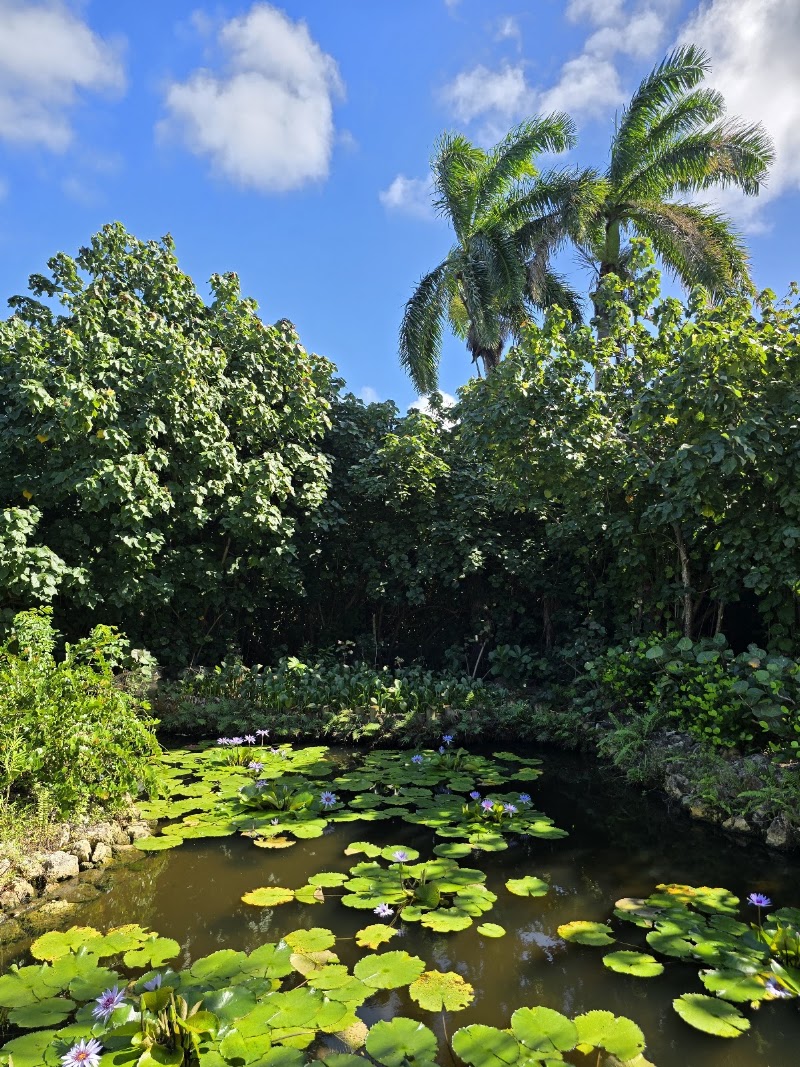 Photo 1 at Queen Elizabeth II Botanic Park in North Side