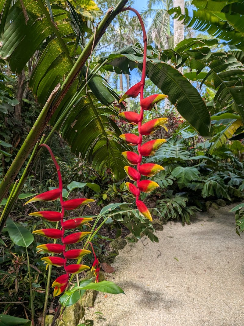Photo 5 at Queen Elizabeth II Botanic Park in North Side