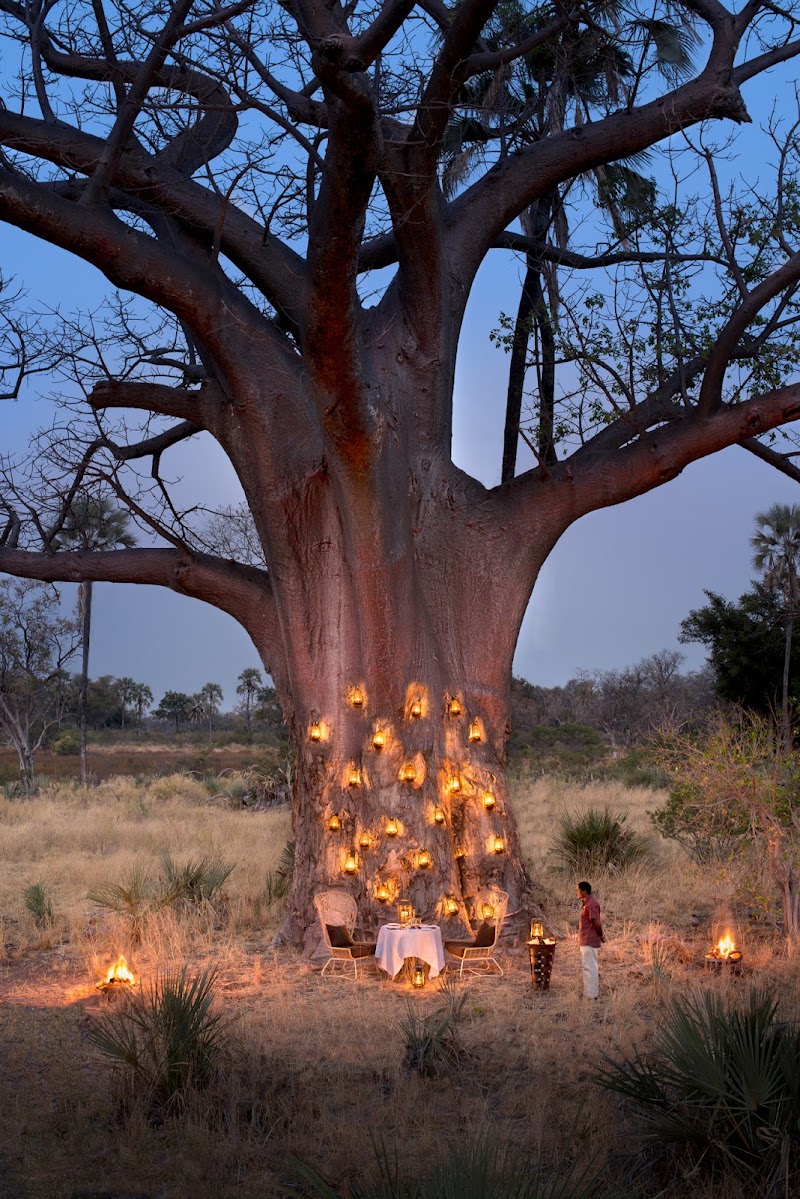 Photo 3 at andBeyond Sandibe Okavango Safari Lodge in Botswana