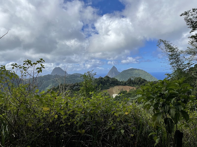 Grand Eden Estate in 