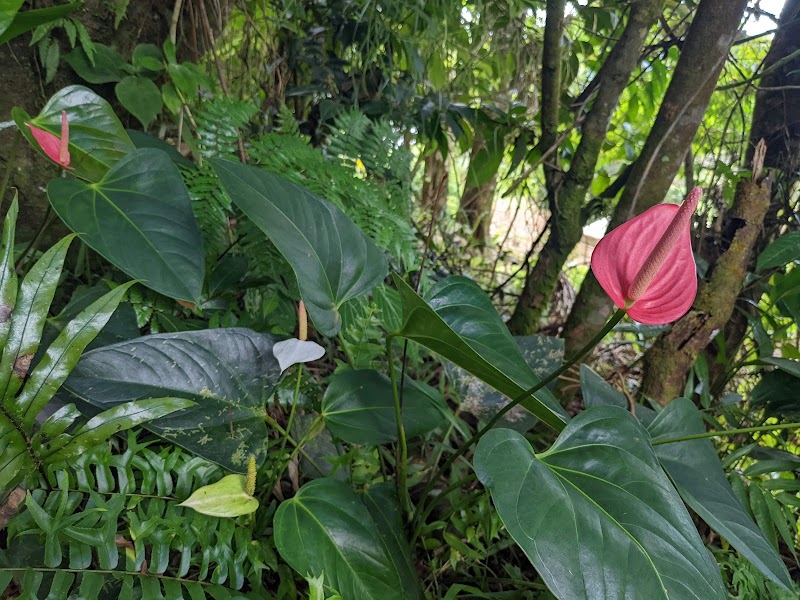 Photo 3 at Grand Eden Estate in 