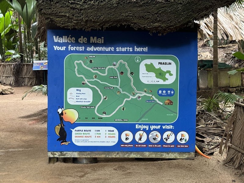 Photo 4 at Vallée de Mai, Praslin, Seychelles in Baie Ste Anne