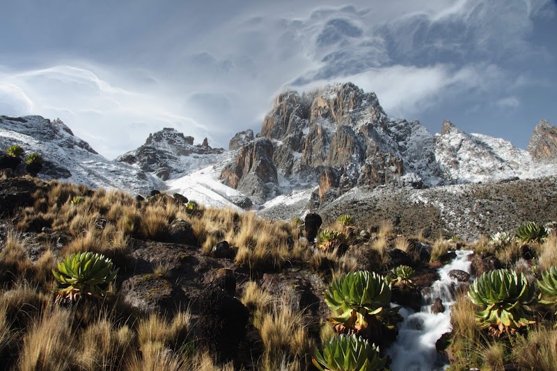 Mount Kenya National Park in 